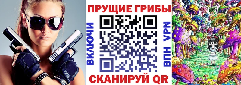 Галлюциногенные грибы Cubensis  где купить наркоту  Дагестанские Огни 