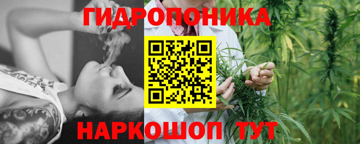 Дагестанские Огни  Конопля Ganja  Вход с VPN  Канабис сатива  Шишки марихуана планчик  МАРИХУАНА сатива 